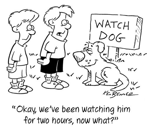 "Okay, we've been watching him for two hours, now what?"