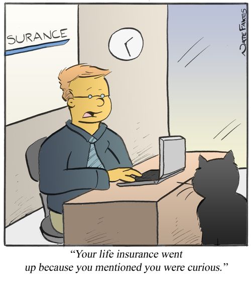 'Your life insurance went up because you mentioned you were curious.'