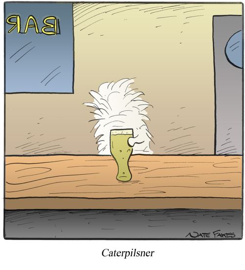 Caterpilsner