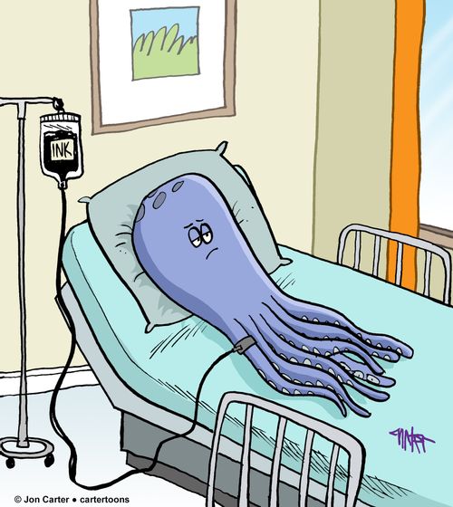 Octopus is hooked up to ink I.V. in hospital bed.
