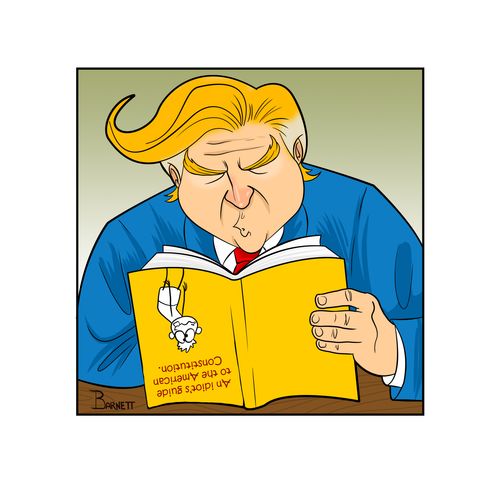 An idiot's guide to the American Constitution.