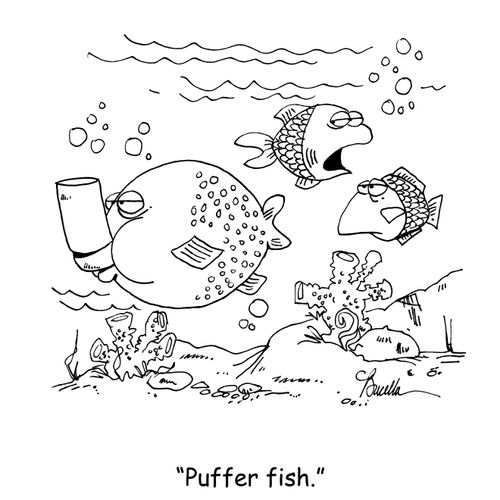 'Puffer fish.'
