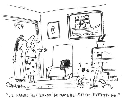 "We named him 'Enron' because he shreds everything."