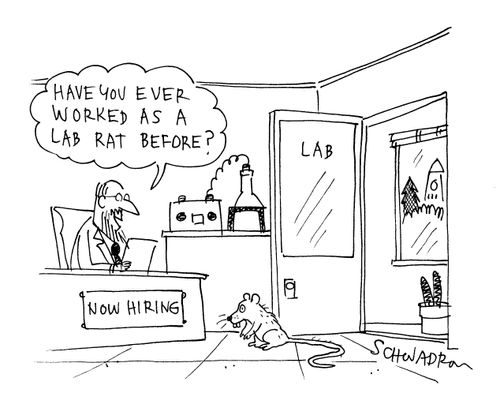 'Have you ever worked as a lab rat before?'
