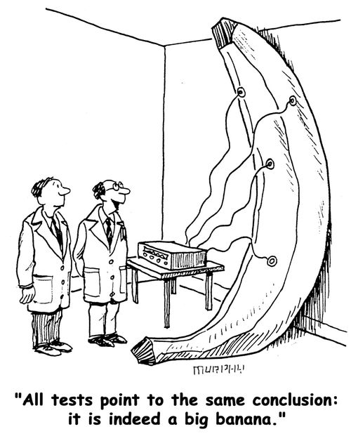 'All tests point to the same conclusion:  it is indeed a big banana.'