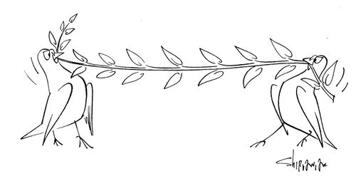 Peace doves fighting over olive branch.