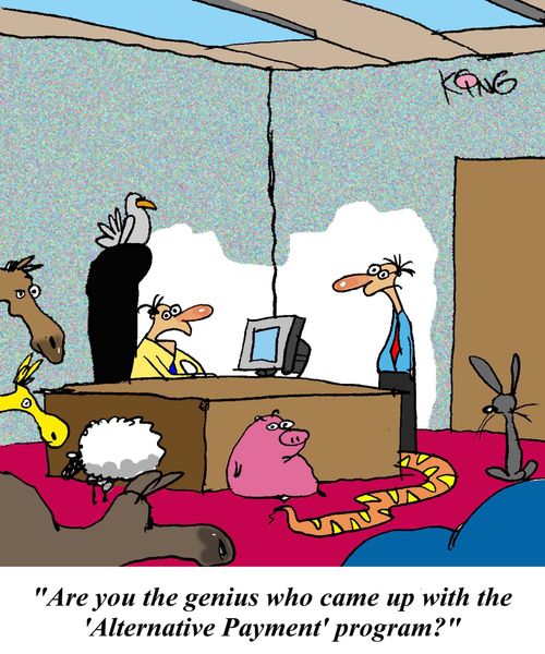 'Are you the genius who came up with the 'Alternative Payment' program?'