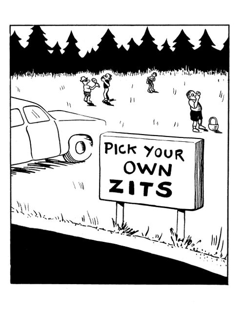 Pick Your Own Zits.