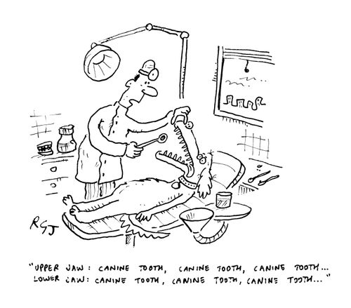 'Upper Jaw: Canine tooth, canine tooth...  Lower Jaw: Canine tooth, canine tooth...'