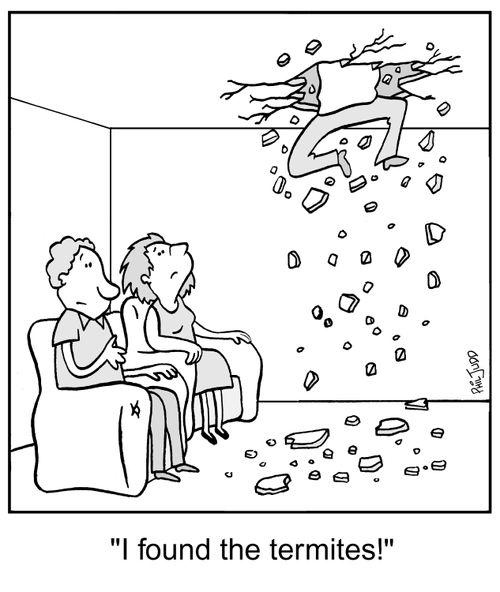 'I found the termites!'