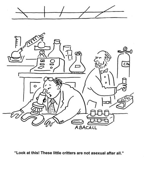'Look at this!  These little critters are not asexual after all.'