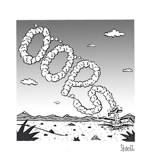 'Oops' Plane crash