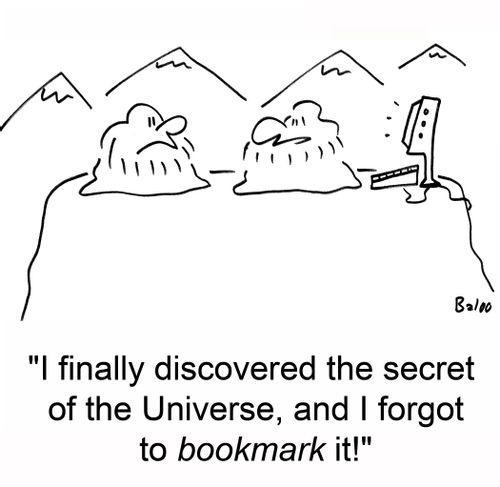'I finally discovered the secret of the Universe, and I forgot to bookmark it!'