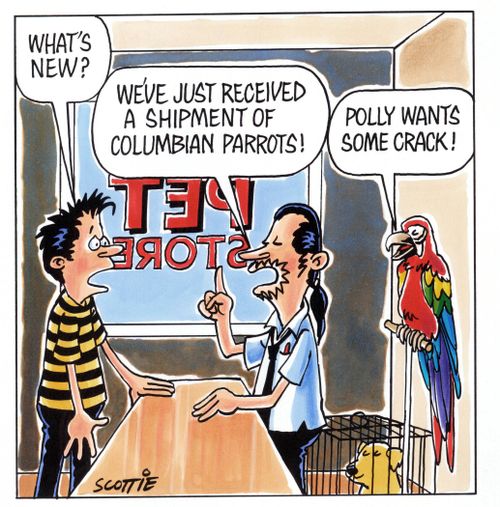 Customer:'What's new?' Assistant: 'We've just received a shipment of Columbian parrots!' Parrot: 'Polly wants some crack!'
