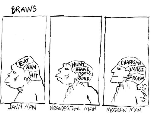 Brains - Java Man, Neanderthal Man, Modern Man.