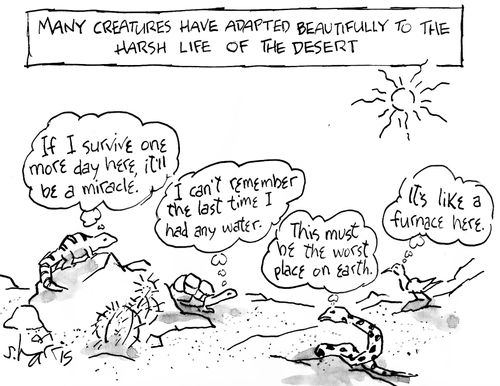 'Many creatures have adapted beautifully to the harsh life of the desert' - 'If I survive one more day...' 'It's like a furnace here.'