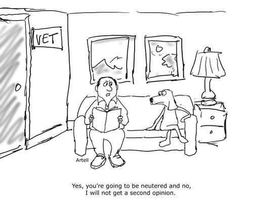 'Yes, you're going to be neutered and no, I will not get a second opinion.'