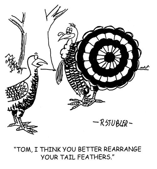 'Tom, I think you better rearrange your tail feathers.'