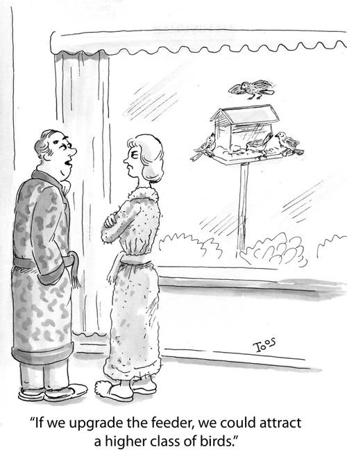 'If we upgrade the feeder, we could attract a higher class of birds.'