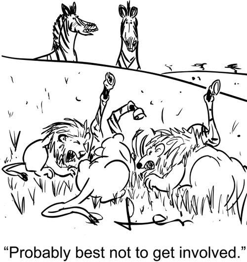 'Probably best not to get involved.'