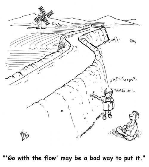 ''Go with the flow' may be a bad way to put it.'