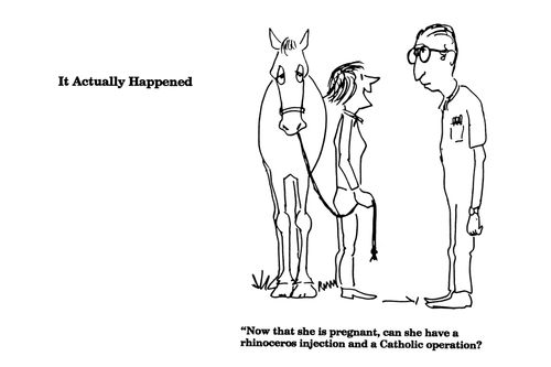 'Now that she is pregnant, can she have a rhinoceros injection and a Catholic operation?