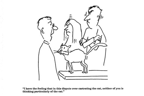 'I have a feeling that in this dispute over castrating the cat...