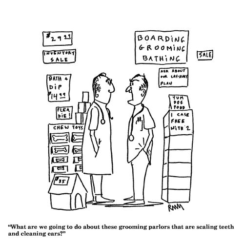 'What are we going to do about these grooming parlors...'