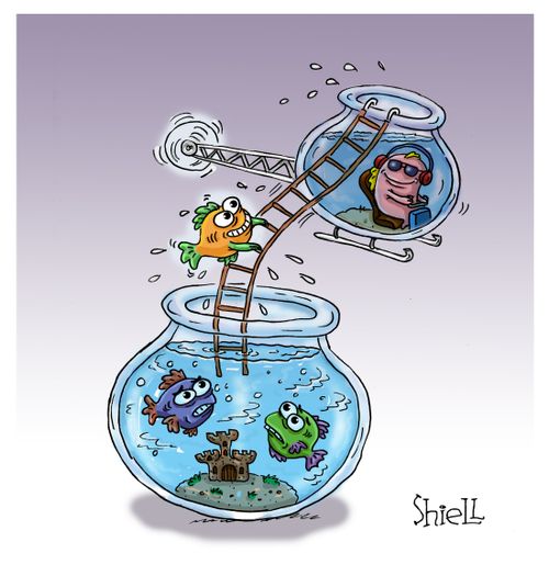 FISH ESCAPE.