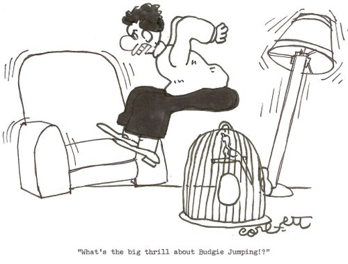'What's the big thrill about Budgie Jumping!?'