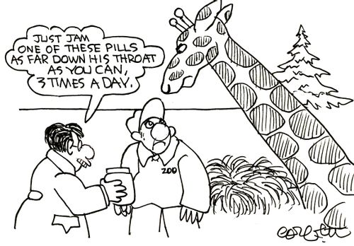 'Just jam one of these pills as far down his throat as you can, 3 times a day.'