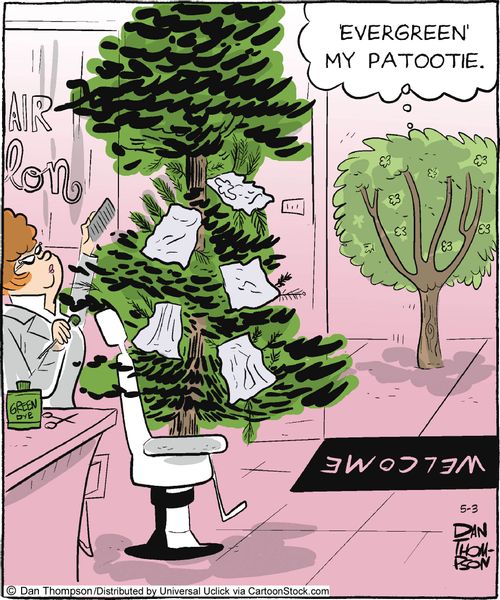 'Evergreen' my patootie.'