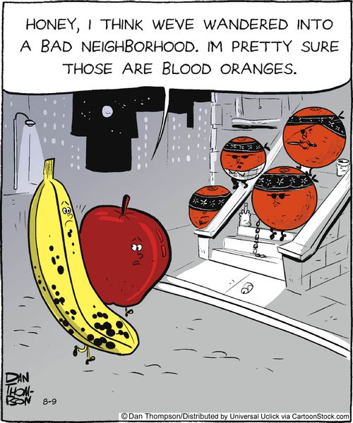 'Honey, I think we've wandered into a bad neighborhood. I'm pretty sure those are blood oranges.'
