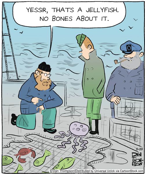 'Yessir, that's a jellyfish. No bones about it.'