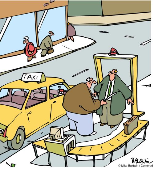 Taxi cab security gate