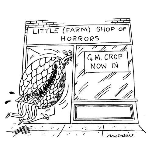 Little Farm Shop of Horrors with G.M produce turned into man eating plant
