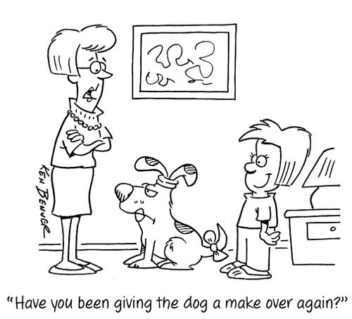 "Have you been giving the dog a make over again?"