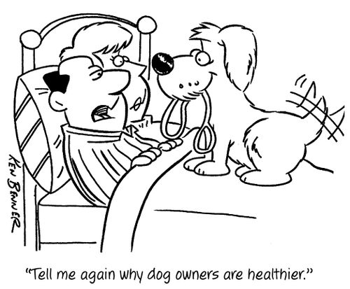 "Tell me again why dog owners are healthier."