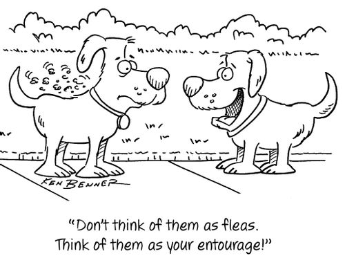 "Don't think of them as fleas. Think of them as your entourage!"