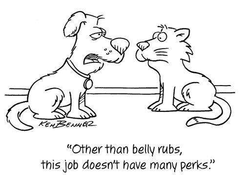 "Other than belly rubs, this job doesn't have many perks."
