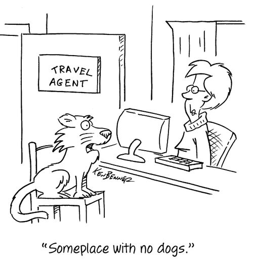 "Someplace with no dogs."