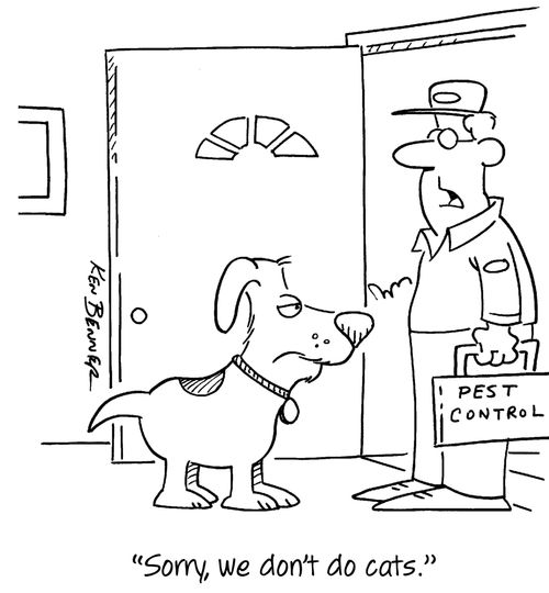 "Sorry, we don't do cats."