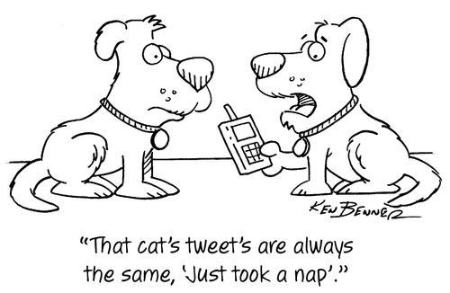"That cat's tweets are always the same, 'Just took a nap'."