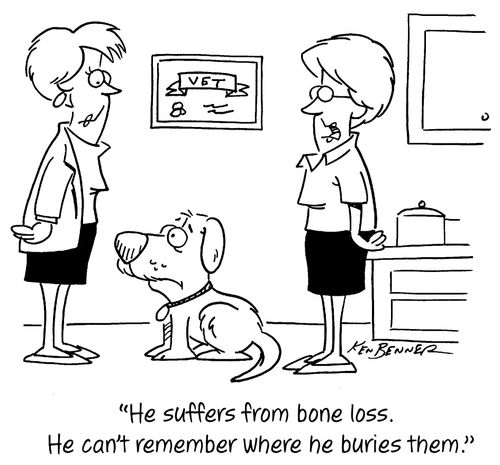 "He suffers from bone loss. He can't remember where he buries them."
