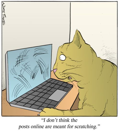 'I don't think the posts online are for scratching.'