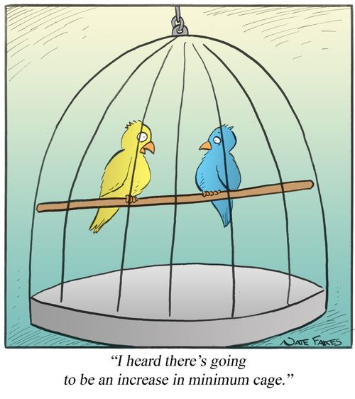 "I heard there's going to be an increase in minimum cage."