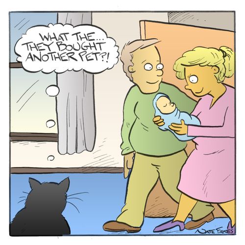 "What the...they bought another pet?!"