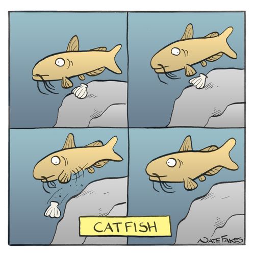 Catfish