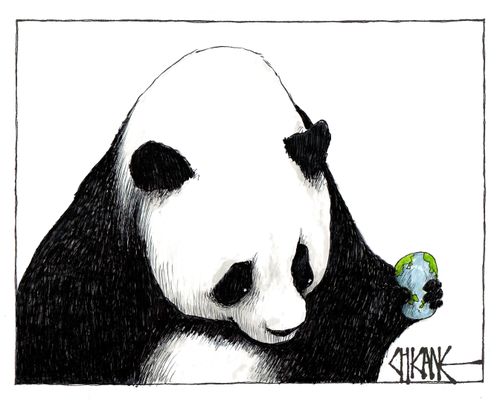 Chinese Stock Market Crash