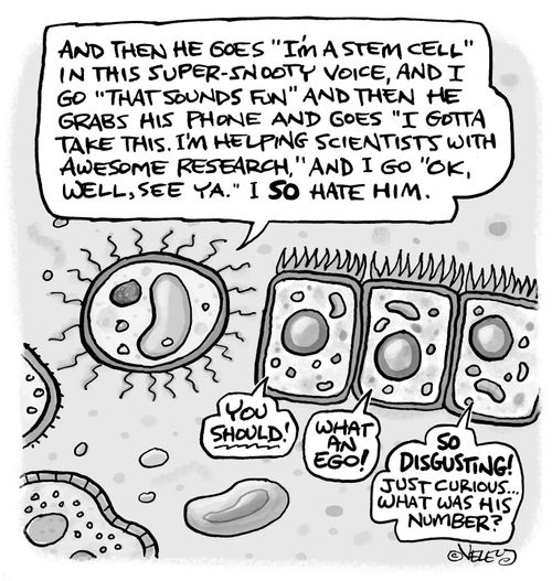 "And then he goes "I'm a stem cell" in this super-snooty voice..."
